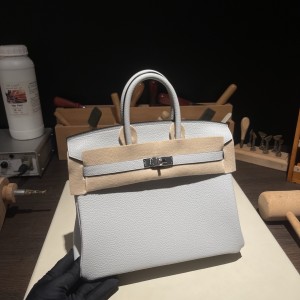 Birkin 25 (토고)圣杯蓝银扣
