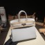 Birkin 25 (토고)圣杯蓝银扣