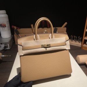 Birkin 25 (토고)饼干色金扣