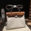 Her bag 31 金棕银扣